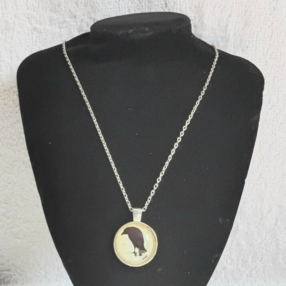 BNWOT 3/$25 18" Beautiful Crow Chain/Pendant Quality Costume Jewelry!!